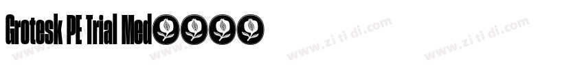 Grotesk PE Trial Med字体转换
